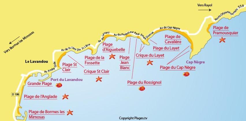 Mazet De La Mer 54M2 Lavandou 100M Plage Avec Piscine Le Lavandou Exterior foto